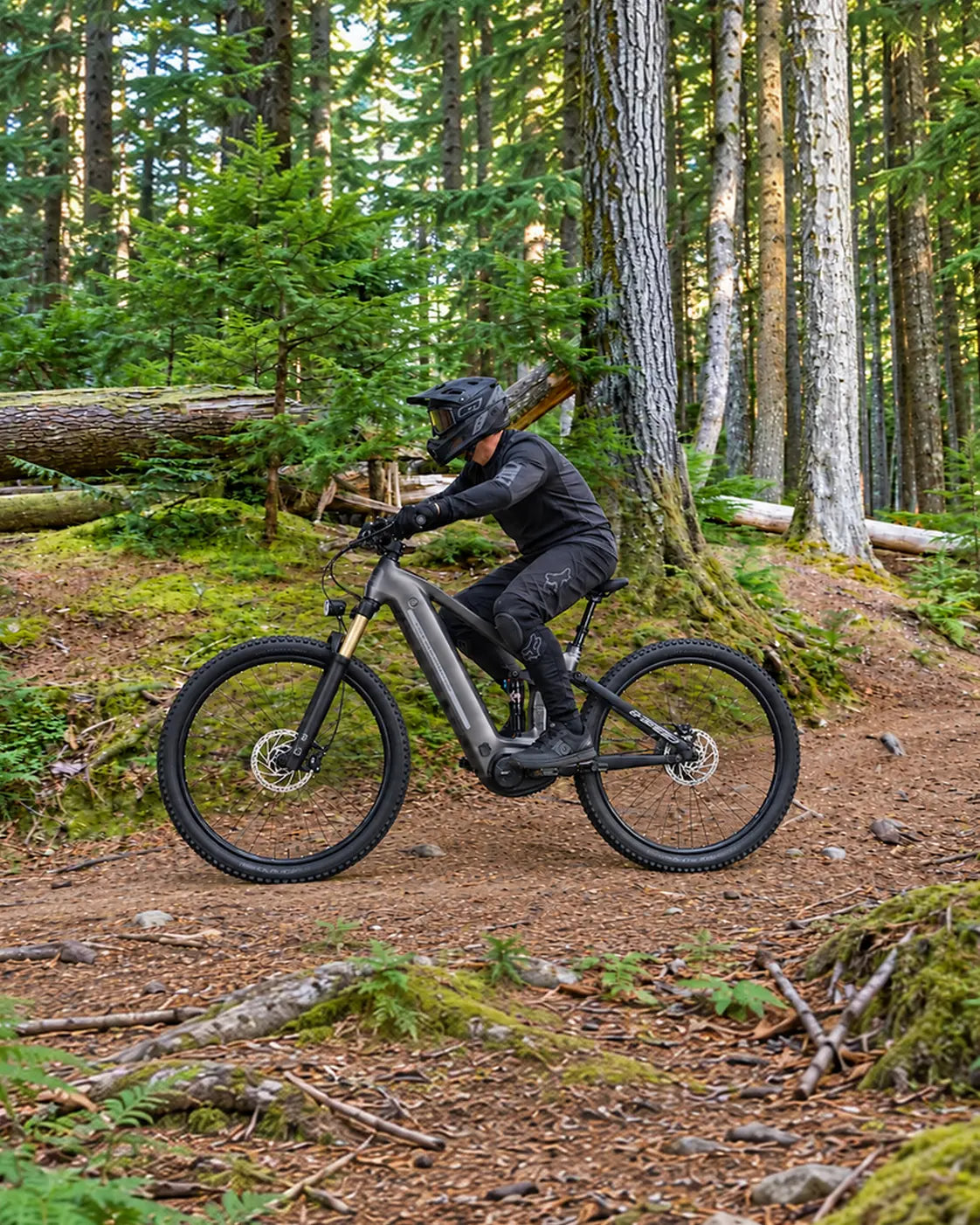 Into the Trees, Into Your Element