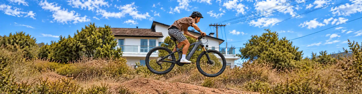 best-selling electric bike